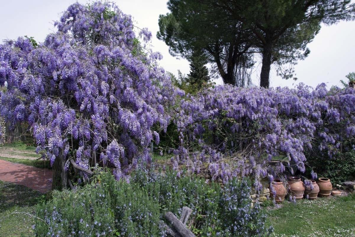 فيلا Molino In Chianti Mercatale Val Di Pesa المظهر الخارجي الصورة