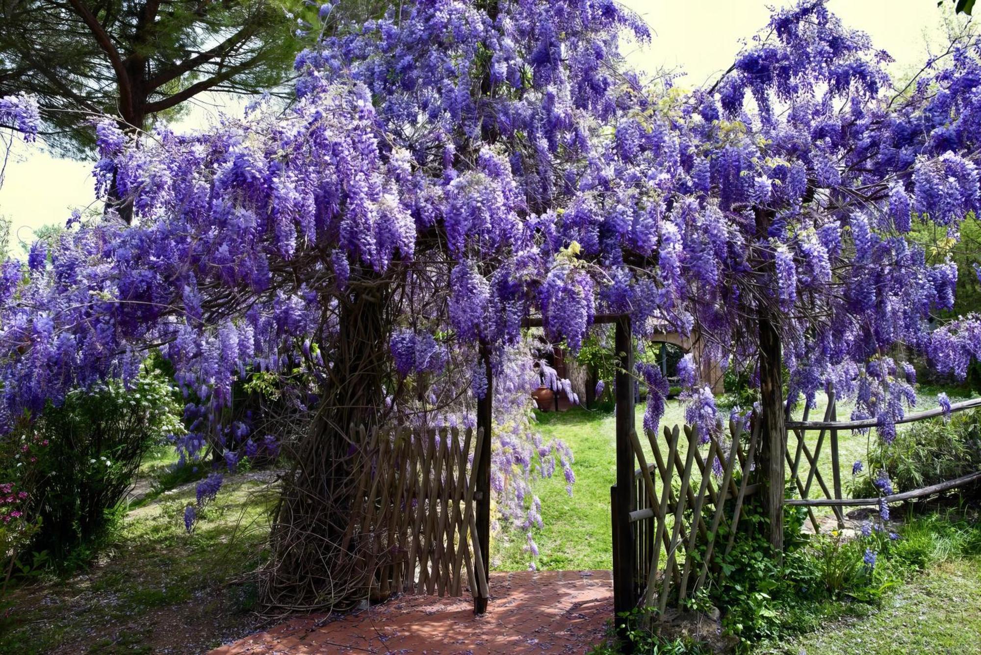 فيلا Molino In Chianti Mercatale Val Di Pesa المظهر الخارجي الصورة